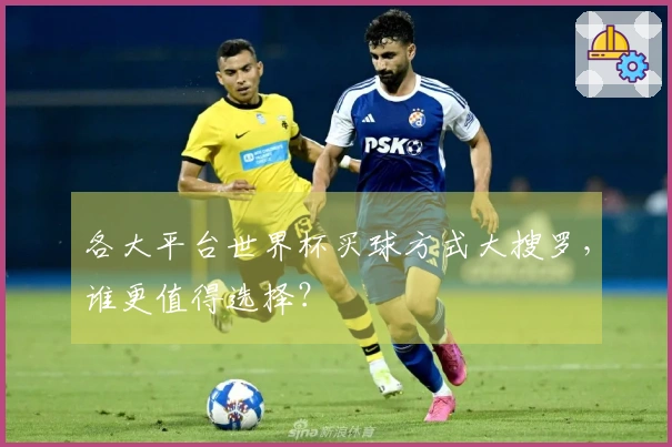 各大平台世界杯买球方式大搜罗，谁更值得选择？