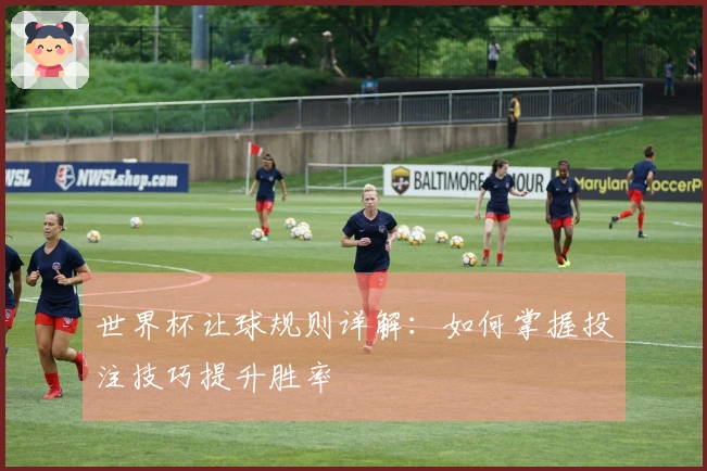 世界杯让球规则详解：如何掌握投注技巧提升胜率