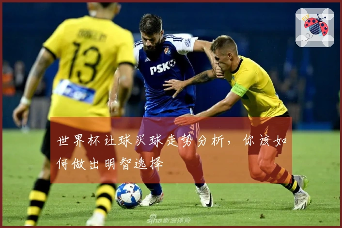 世界杯让球买球走势分析，你该如何做出明智选择