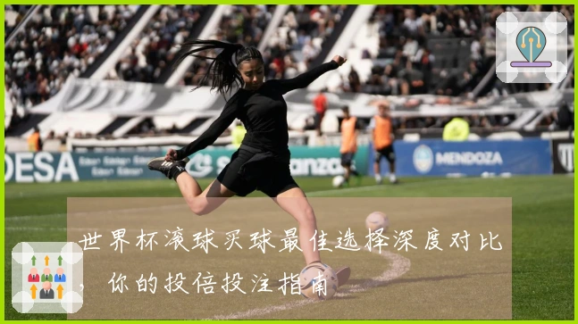 世界杯滚球买球最佳选择深度对比，你的投倍投注指南