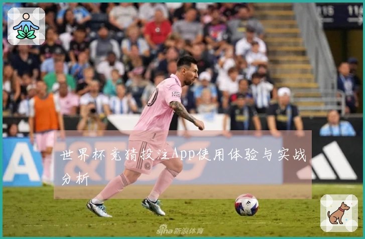 世界杯竞猜投注App使用体验与实战分析
