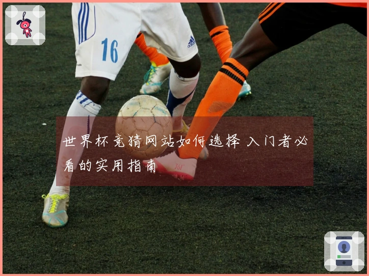 世界杯竞猜网站如何选择 入门者必看的实用指南