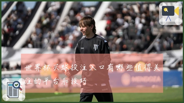 世界杯买球投注入口有哪些值得关注的平台和技巧