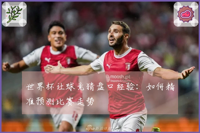 世界杯让球竞猜盘口经验：如何精准预测比赛走势