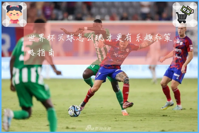 世界杯买球怎么玩才更有乐趣和策略指南