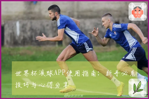 世界杯滚球APP使用指南：新手必看技巧与心得分享