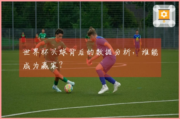 世界杯买球背后的数据分析，谁能成为赢家？