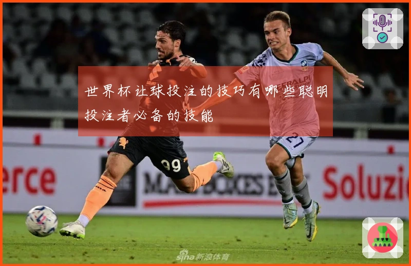 世界杯让球投注的技巧有哪些聪明投注者必备的技能