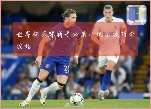 世界杯买球新手必看，玩法技巧全攻略